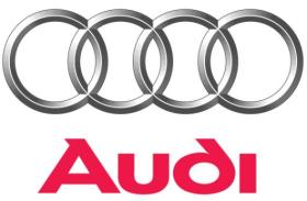FAMILIA AUDI SUBFAMILIA -  AUDI