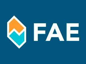 FAE 83140