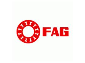 FAMILIA FAG SUBFAMILIA EMB00   FAG