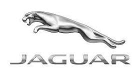 JAGUAR  JAGUAR