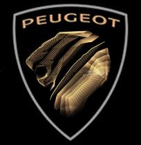 PEUGEOT 621544