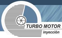 FAMILIA TURBM SUBFAMILIA CASCO  TURBM