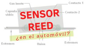 VARIOS REED  REED